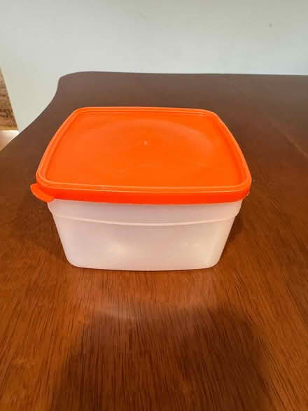 Photo of free Plastic leftover container (Swarthmore) #1