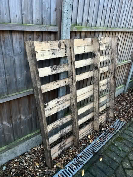 Photo of free Large wooden pallet (Maulden MK45) #1
