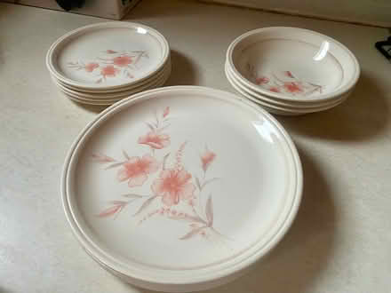 Photo of free Plates and bowls (Eastbourne BN21) #1