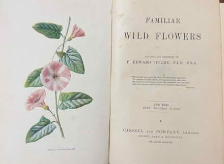 Photo of free Vintage flower books - Familiar Wild Flowers (East Dulwich SE22) #2
