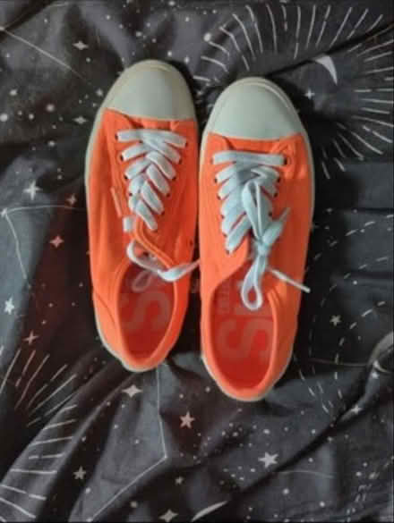 Photo of free Superdry pumps size 4 (Willenhall WV12) #1