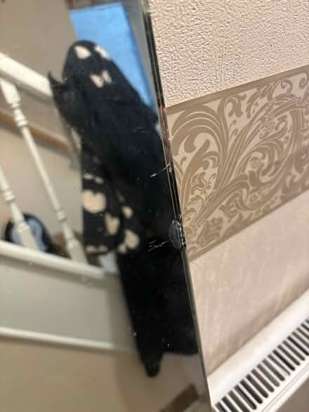 Photo of free Tall mirror (Bs15 4ub) #4