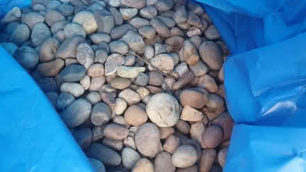 Photo of free Garden rocks (CM2 Chelmer Village) #2