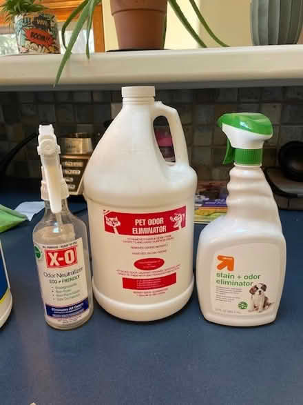 Photo of free Pet Odor eliminators (East Boulder) #1