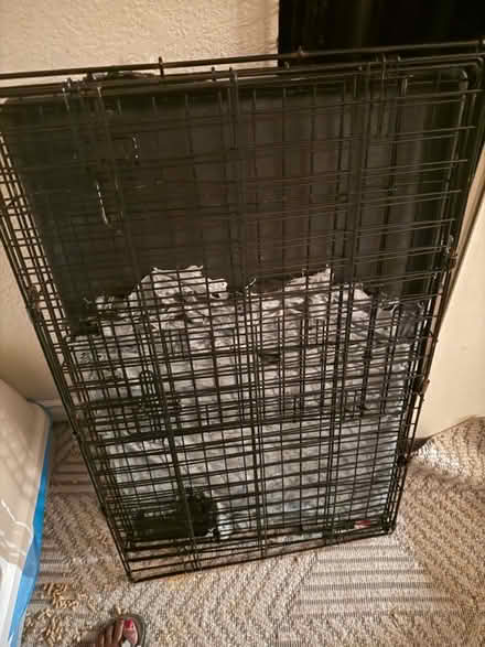 Photo of free Dog Metal Crate, Ramps & More (West San Jose 95128) #2