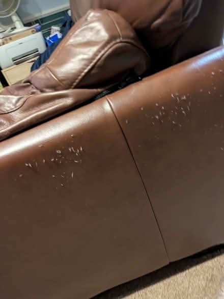 Photo of free Sofas (Threlkeld) #3