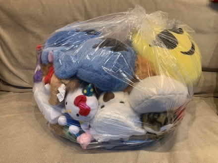 Photo of free Bag of clean stuffed animals (West Village) #1
