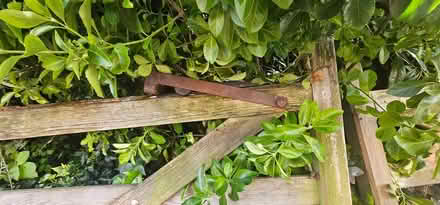 Photo of free Wooden Drive Gates (Malvern Link WR14) #3