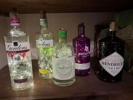 Photo of free Decorative lights in bottles (OX25, Weston on the green) #2