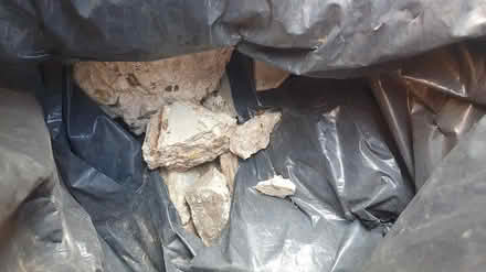 Photo of free Garden rocks (CM2 Chelmer Village) #4