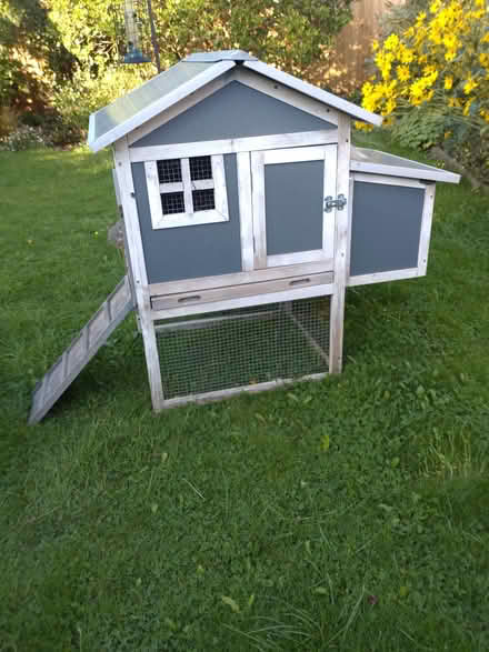 Photo of free Chicken, quail or guinea pig house (Histon) #1