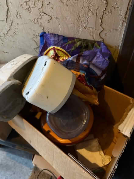 Photo of free Dog Metal Crate, Ramps & More (West San Jose 95128) #3