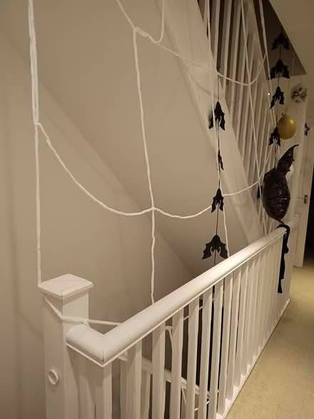 Photo of free Halloween decs (Thornbury BD3) #1
