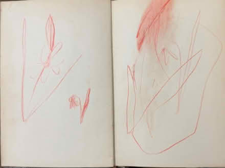 Photo of free Vintage flower books - Familiar Wild Flowers (East Dulwich SE22) #4