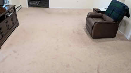 Photo of free Large wall-to-wall carpet (Western Ellicott City) #2