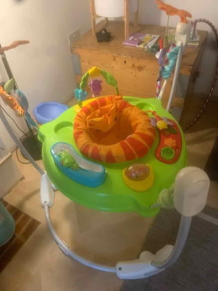 Photo of free Jumperoo (S7 Netheredge) #1