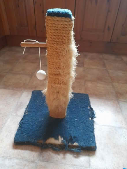 Photo of free Cat scratching post (ME14 near Penenden Heath) #1