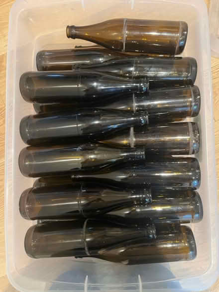 Photo of free Empty glass beer bottles (Royston SG8) #1