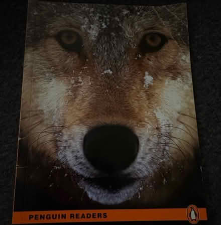 Photo of free Kids books (Grays) #4