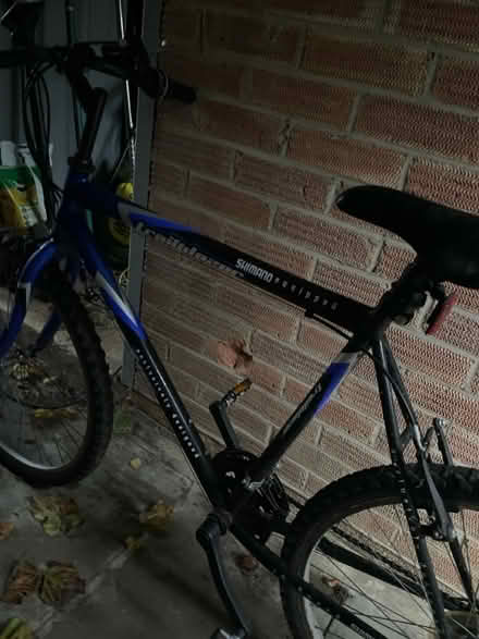 Photo of free Bikes (Lewes BN7) #3