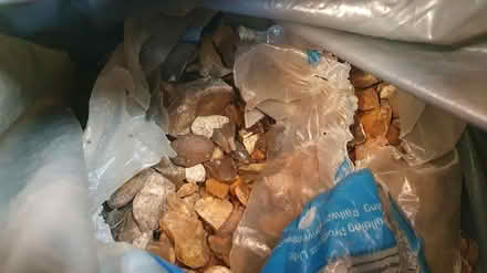 Photo of free Garden rocks (CM2 Chelmer Village) #3