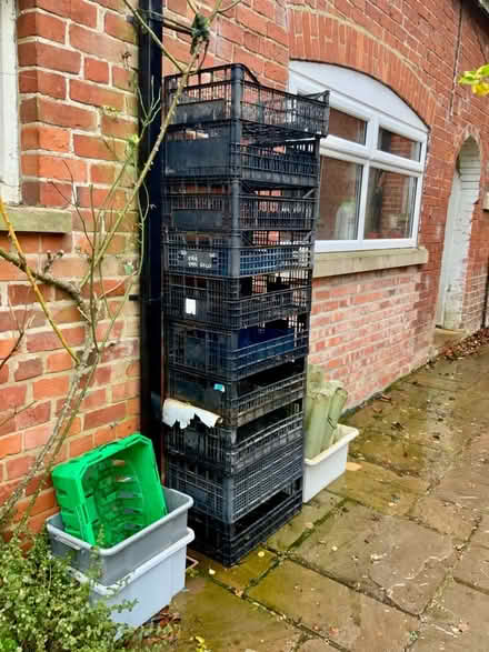 Photo of free Plastic crates, boxes and tree guards (North Frodingham YO25) #2