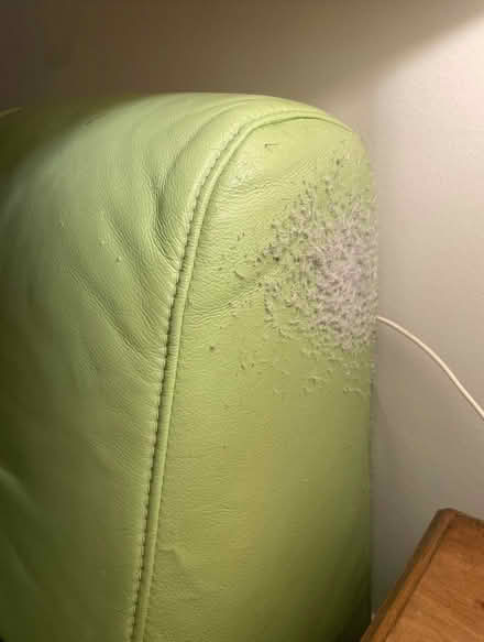 Photo of free Green sofa to give away (Eh7 4Ht) #2