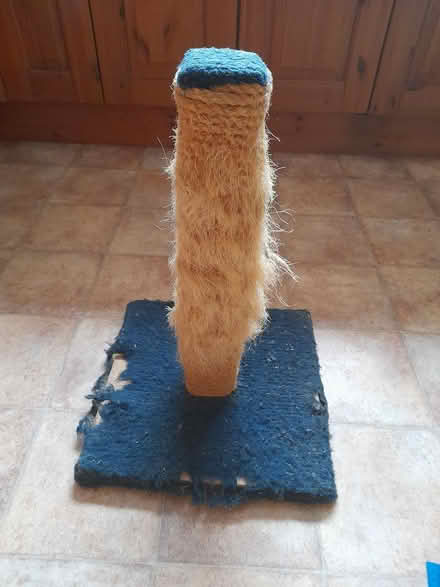 Photo of free Cat scratching post (ME14 near Penenden Heath) #4