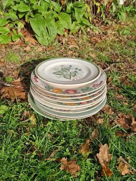 Photo of free Dinner plates (Madley) #1