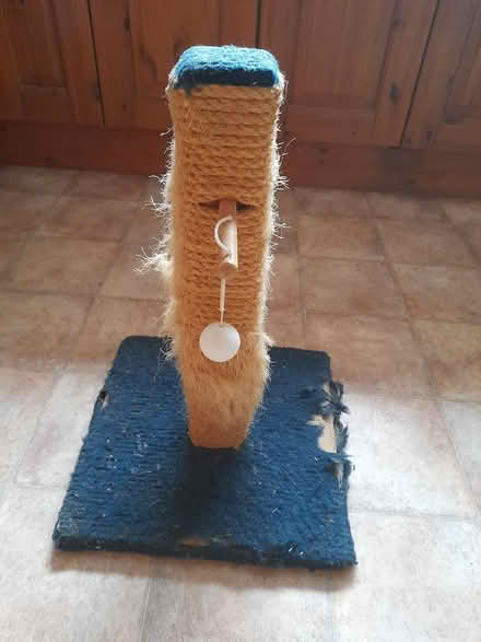 Photo of free Cat scratching post (ME14 near Penenden Heath) #2