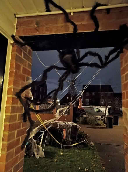 Photo of free Halloween decs (Thornbury BD3) #2