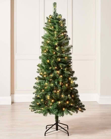 Photo of 5 or 6ft Christmas tree (Badger Farm) #1