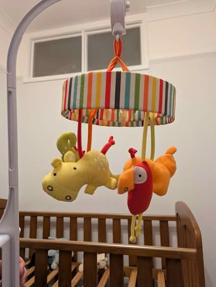Photo of free Mobile for cot (S10 Crookes) #1