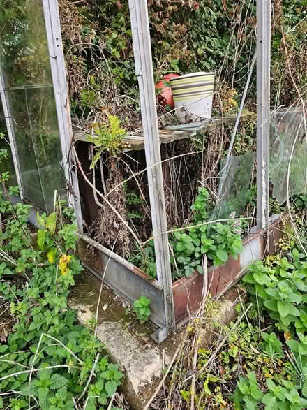 Photo of free Glass Greenhouse (Swindon, SN6) #3