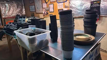 Photo of free plastic pots & trays (Mayfair Place, Crofton) #1
