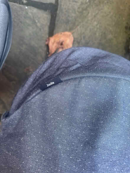 Photo of free Maxi cosi jade car seat (Sw20) #4