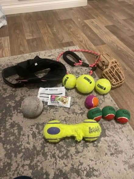 Photo of free Dog items (Whins of Milton FK7) #1