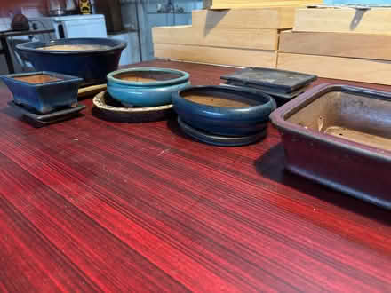 Photo of free Qty of Ceramic Bonsai Pots (Oswestry SY11) #2