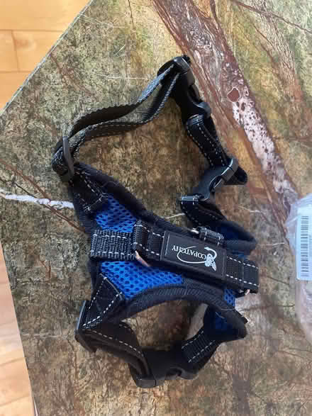 Photo of free Dog dishes and harness (DC side of Warrenton) #2