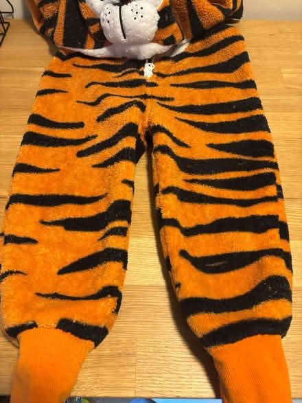 Photo of free Tiger onesie Age 3 - 4 (Lansdown, BA1) #2