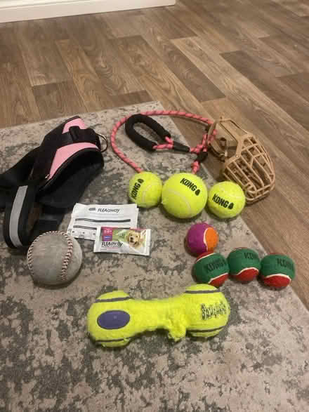 Photo of free Dog items (Whins of Milton FK7) #2