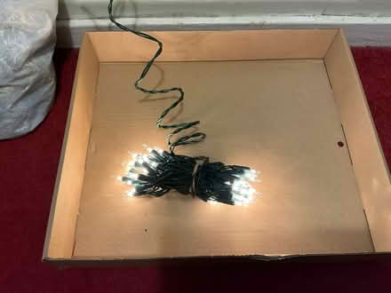 Photo of free Christmas fairy lights (Walkley S6) #1
