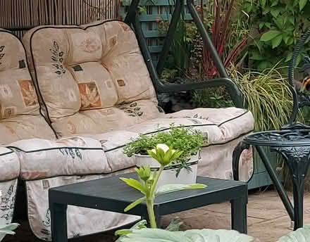 Photo of free Swing cushion seat (S10 Endcliffe Vale) #2