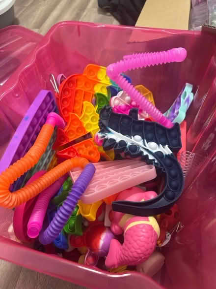 Photo of free Fidgets (Nateby CA17) #1