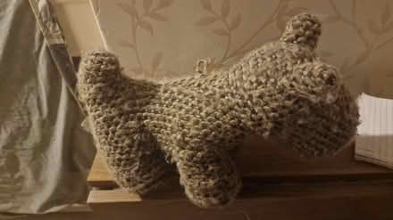 Photo of free Dog door stop (Kirk Hallam DE7) #3