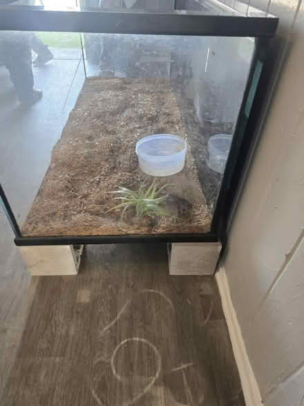Photo of free Fish Tank (Houston) #4