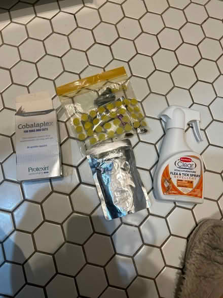 Photo of free Cat items (E12 Manor park) #1