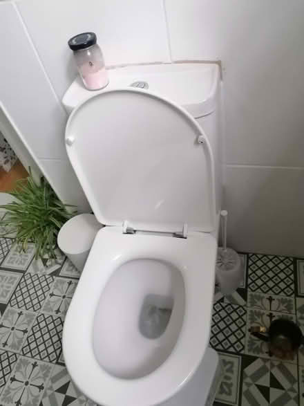 Photo of free Toilet (CR8) #1