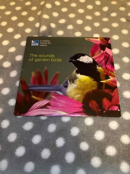 Photo of free Bird sounds cd (Jennetts park RG12) #1