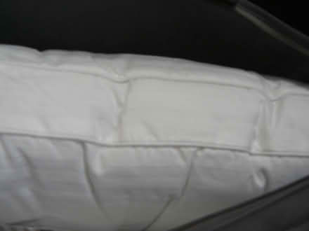 Photo of free Polyester box-type pillow (Kempsey WR5) #2